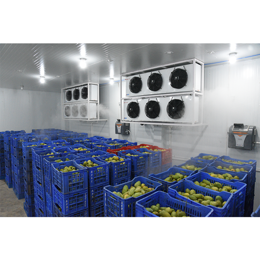 What is a Ripening Chamber in a Cold Room and How Does It Work for Different Fruits